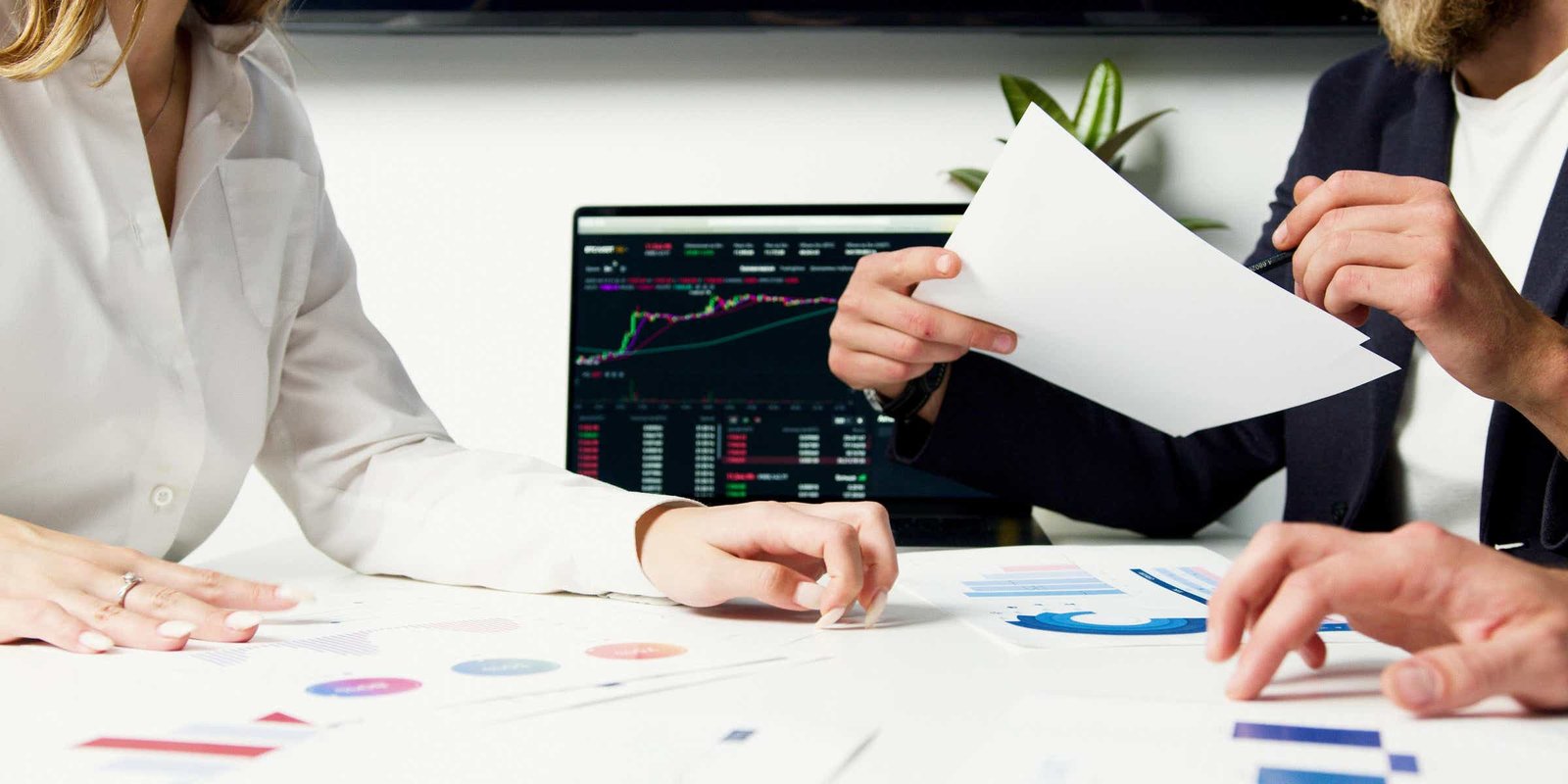 Hiring Digital Marketing Expert