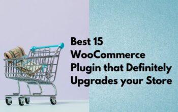 Best 15 WooCommerce Plugin