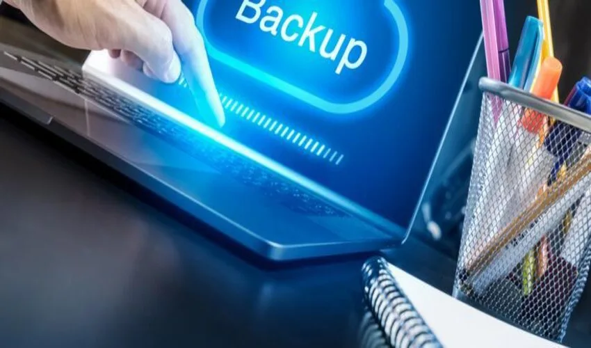 Web backup
