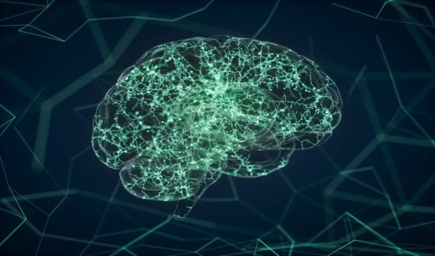 Gut-Brain Axis