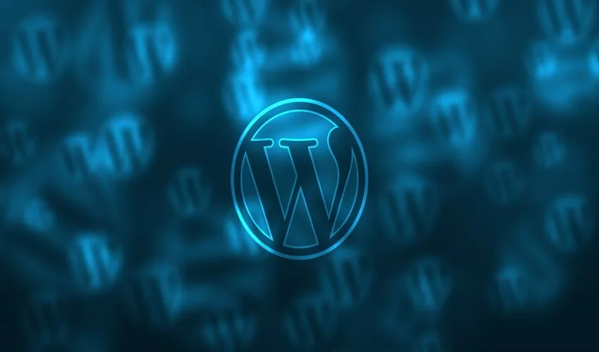 WordPress website's speed