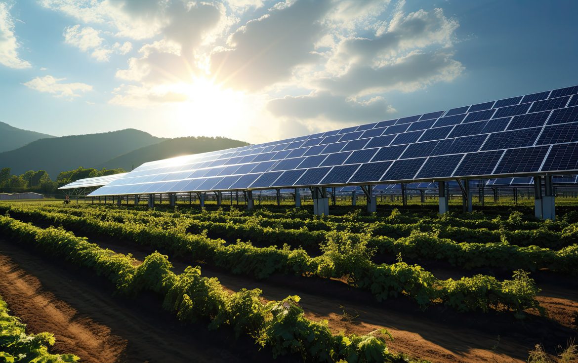 AgriPhotovoltaics: Combining Solar Energy and Agriculture for Dual Land Use