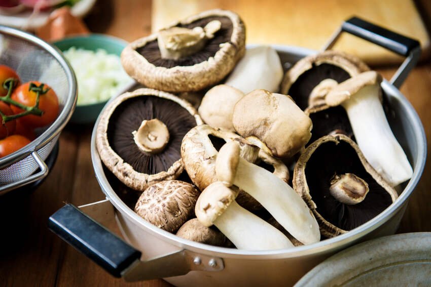 Popular Types of Mushrooms